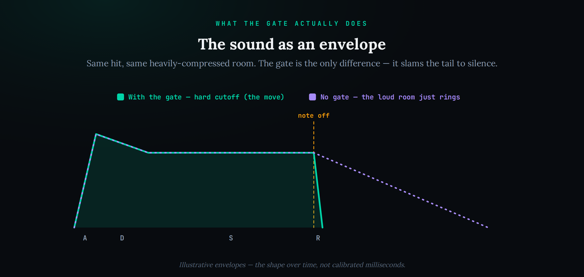 Amplitude-over-time envelope comparing the gated snare against an ungated room. Both share the same fast attack and a high, sustained body from the heavy room compression, but at the amber “note off” line the gated envelope drops vertically to silence (hard cutoff) while the ungated envelope rings on with a long decay tail. Caption notes the shapes are illustrative, not measured.