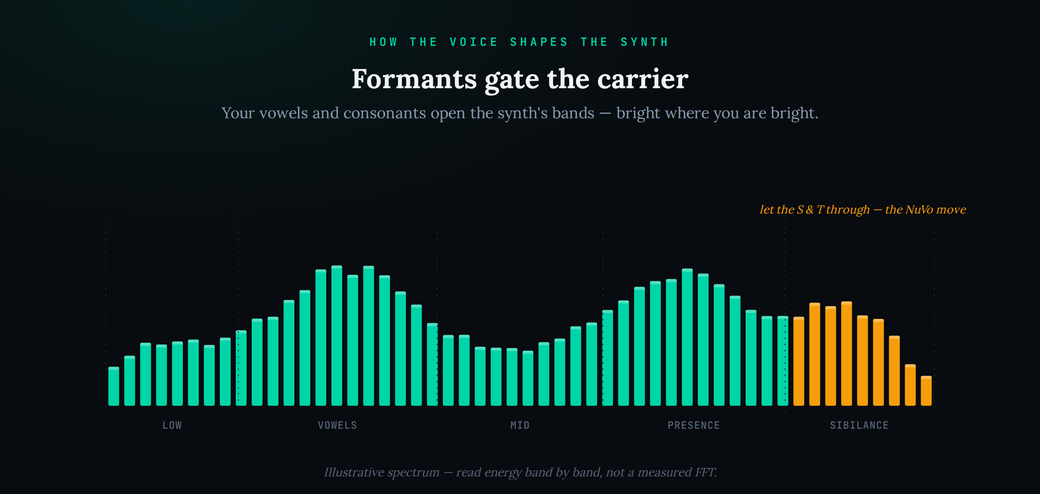An illustrative spectrum titled “Formants gate the carrier,” drawn as teal bars rising and falling across five labelled bands: low, vowels, mid, presence and sibilance. Energy peaks in the vowels and presence bands. The sibilance band on the right is highlighted amber and labelled “let the S and T through — the NuVo move.” Caption notes it is an illustrative spectrum read band by band, not a measured FFT.